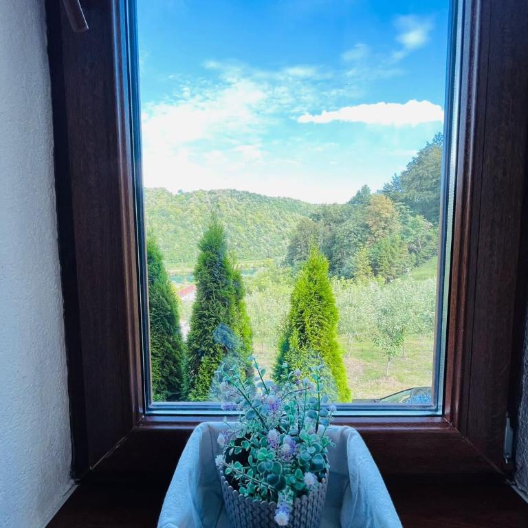 Small Bosnian House - Apartment - Split Level - 8