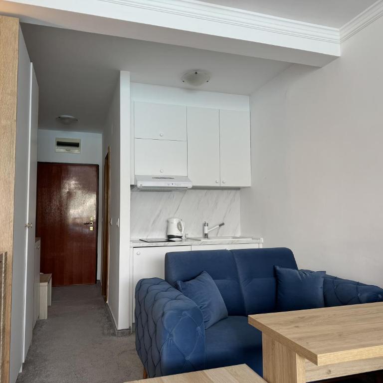 First Line Sea View apartment in Rafailovici - Studio with Sea View - 3