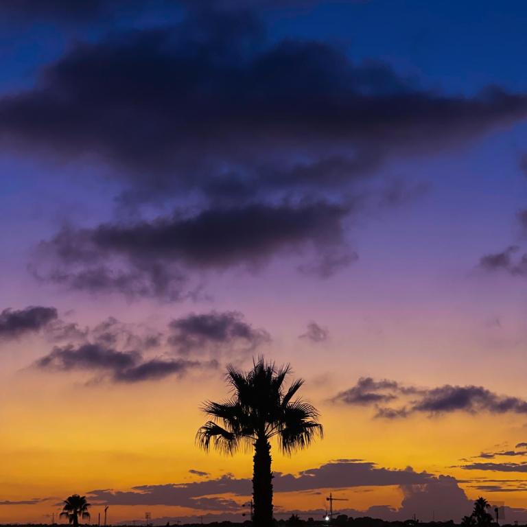 Hola Blanca - Sea, Golf, Chill - Apartamento de 2 dormitorios - 43