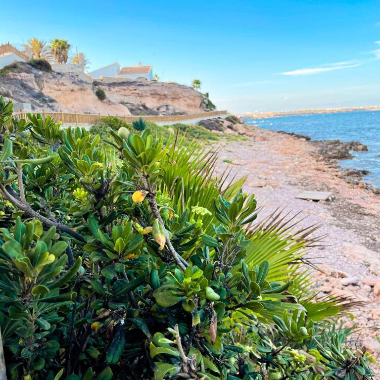 Hola Blanca - Sea, Golf, Chill - Apartamento de 2 dormitorios - 36