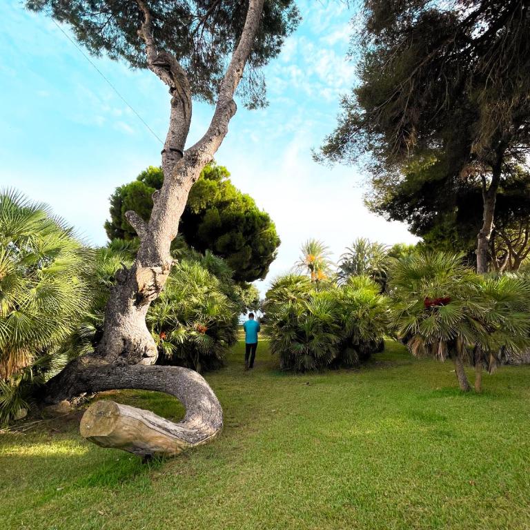 Hola Blanca - Sea, Golf, Chill - Apartamento de 2 dormitorios - 44