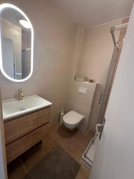 Appartement L'Anjaure - Lavandou - Appartement 2 Chambres - 12