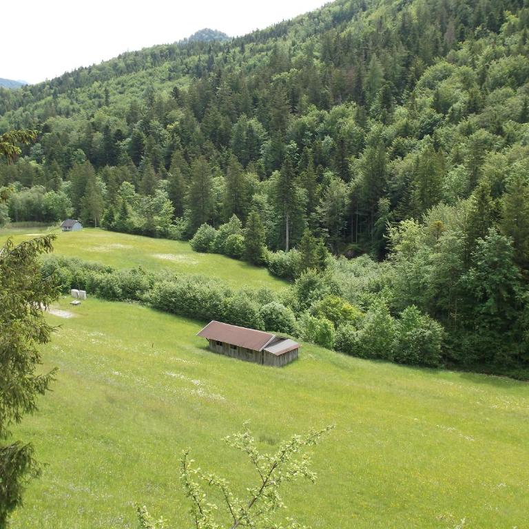 Kleine einfache Ferienwohnung in malerischer Umgebung Salzburgs - Apartment mit 1 Schlafzimmer - 10