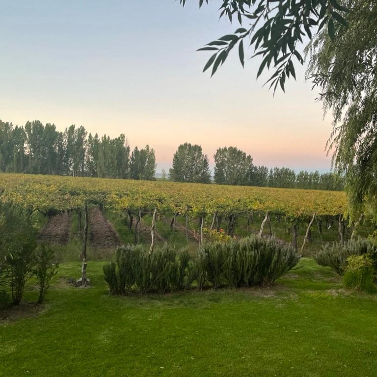 Cottage de los Andes - Casa - 25