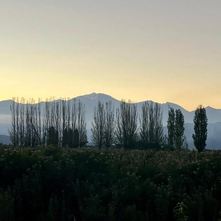 Cottage de los Andes - Casa - 36