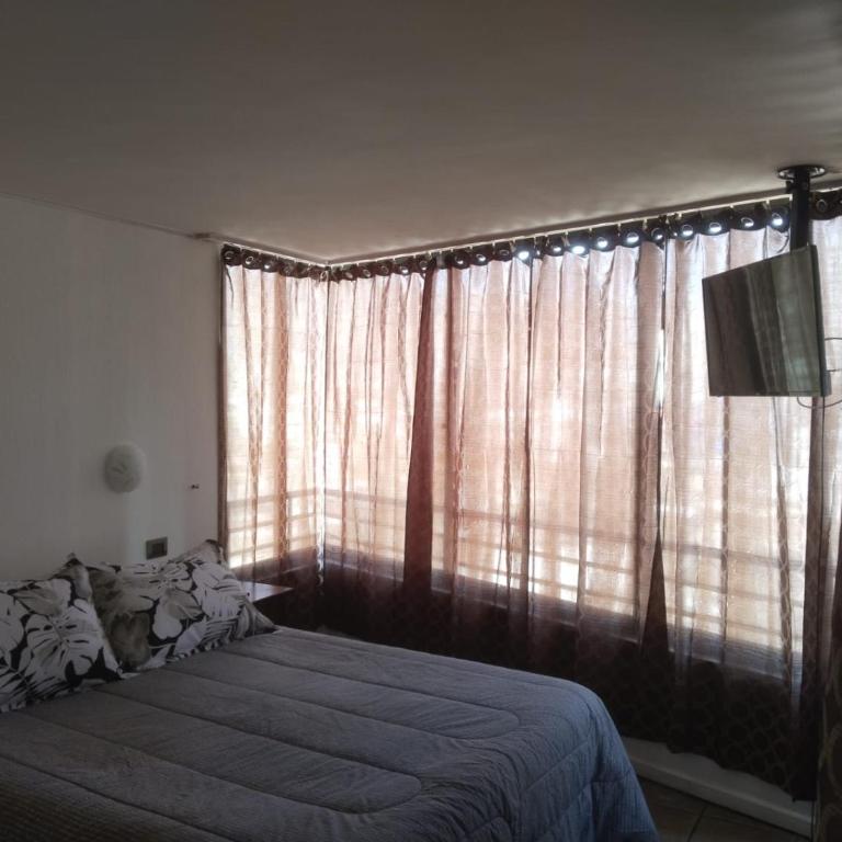 Amoblados MyK playa brava club - Apartamento de 2 dormitorios - 4