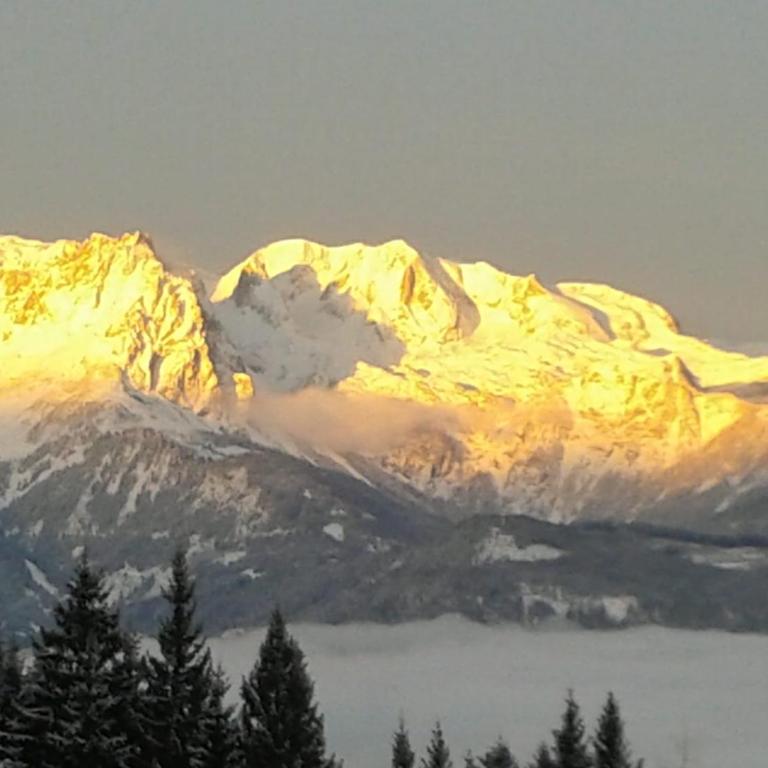 Panorama Chalet Höllmaishof - Chalet mit 2 Schlafzimmern - 47