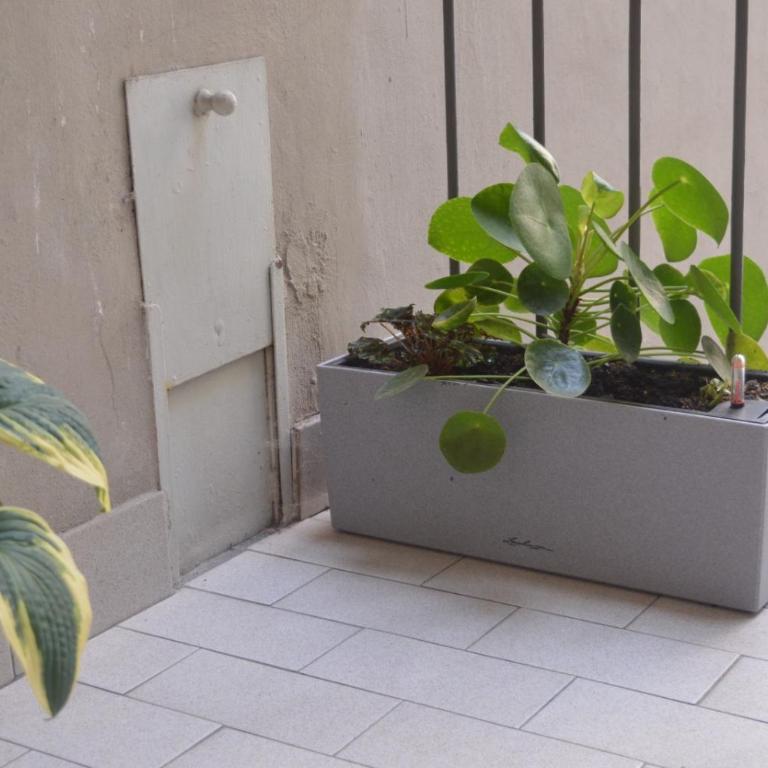 Casa Fresia - Two-Bedroom Apartment - 49