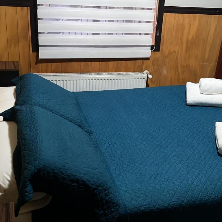 HOSTAL VICTORIA - Habitación Deluxe - 1 cama grande - 3