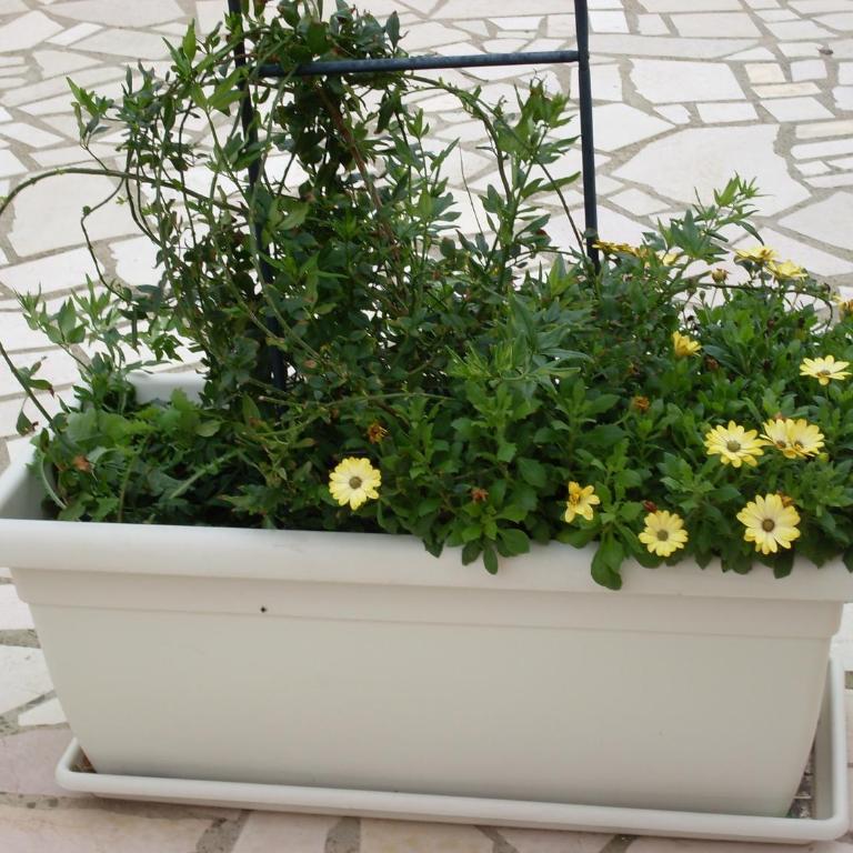 Villa Mafalda - Appartamento con 2 Camere da Letto - 4