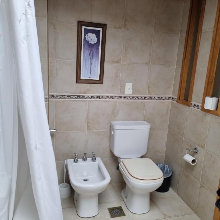 Del Bosque - AndarLibre - Apartamento - 21