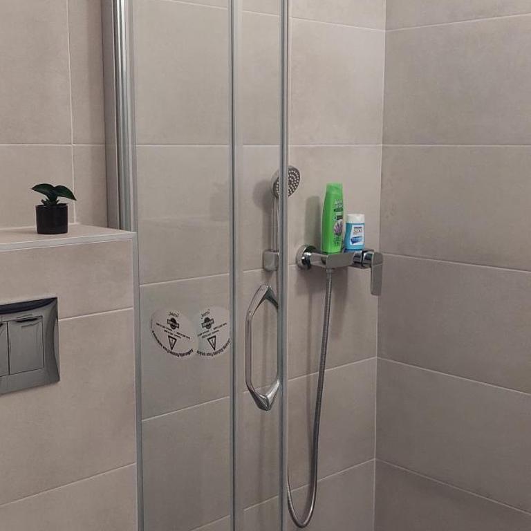 Miyaki Apartment - Apartman sa 1 Spavaćom Sobom - 6