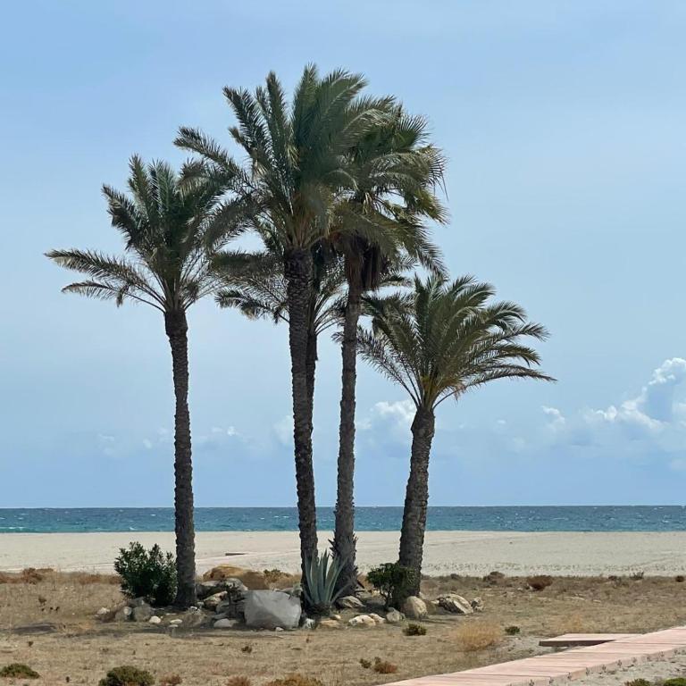 Apartamento Flamingo en Laguna Beach - Apartamento de 2 dormitorios - 34