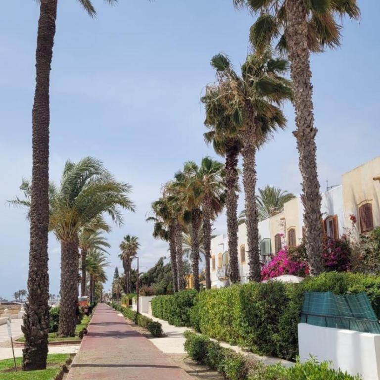 Apartamento Flamingo en Laguna Beach - Apartamento de 2 dormitorios - 36