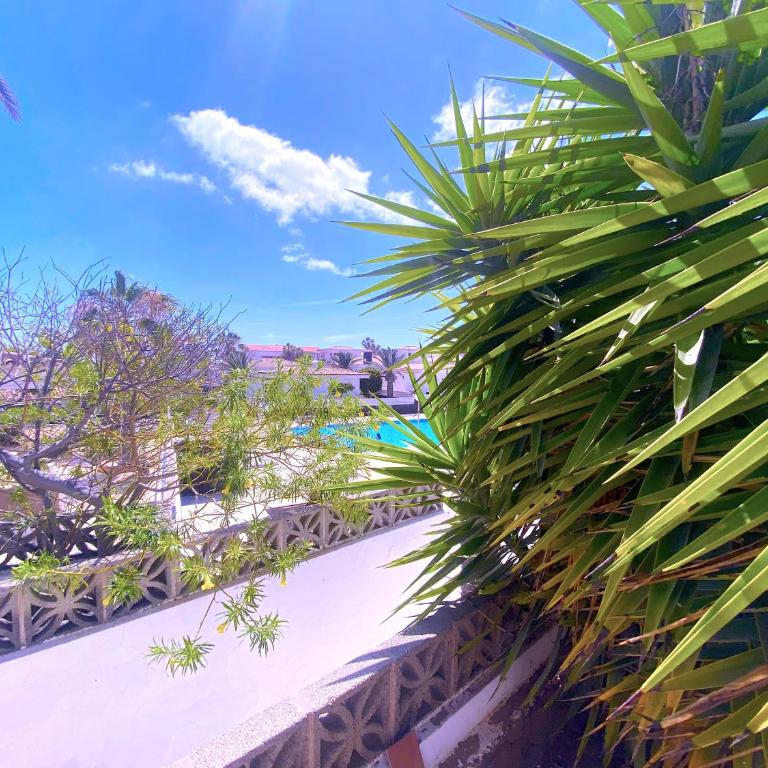 Tropicalidays Atlantic Hideaway Costa del Silencio - Casa de 2 dormitorios - 19