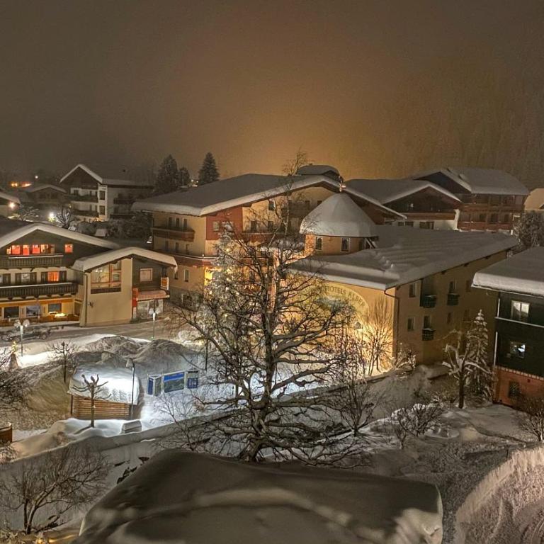 Alpine Pearl - Apartment mit 1 Schlafzimmer - 29
