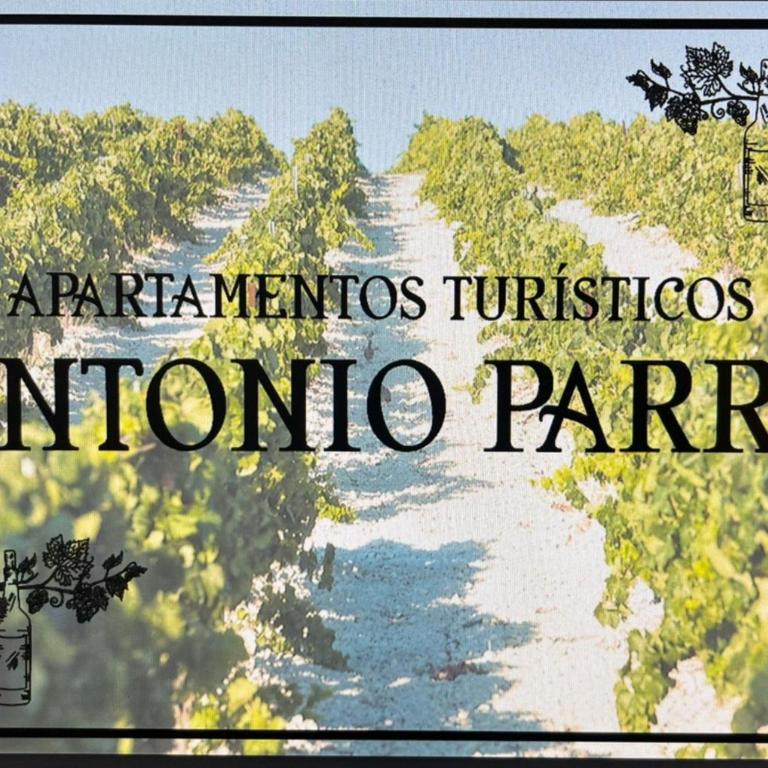 Apartamentos Turísticos Antonio Parra - Apartamento de 1 dormitorio - 27