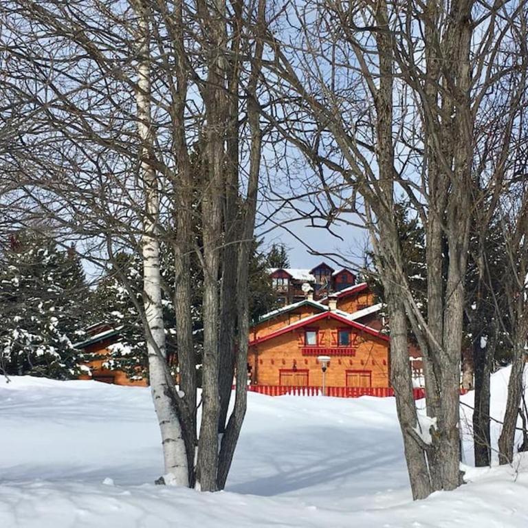 Chalet familiar con jardín y garage privado - Chalet 3 Chambres - 33