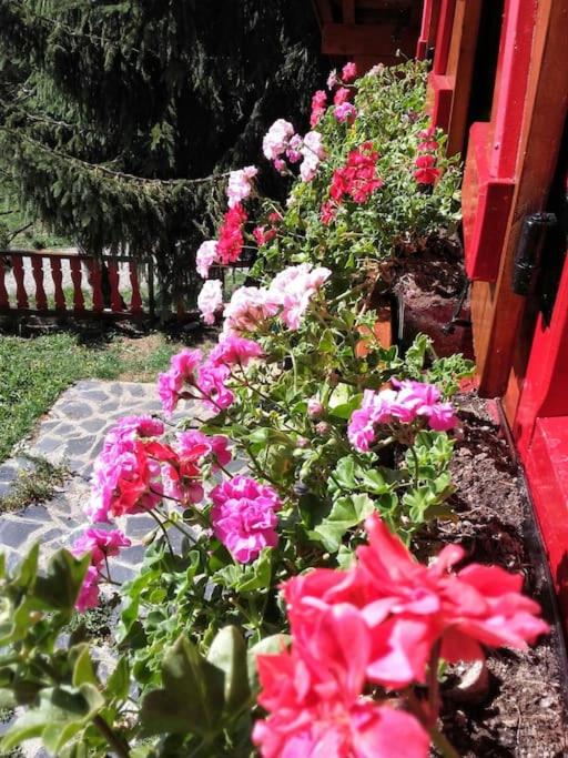 Chalet familiar con jardín y garage privado - Chalet 3 Chambres - 38