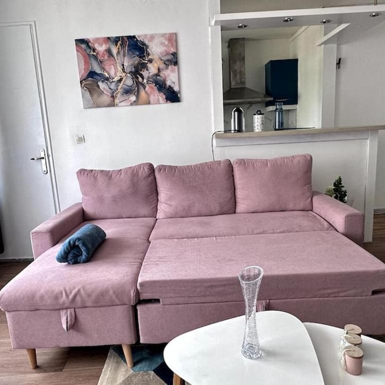 Bel appartement, chambre et salon à Metz centre - Appartement 1 Chambre - 21