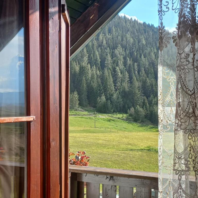 Magic Corner - One-Bedroom House - 4