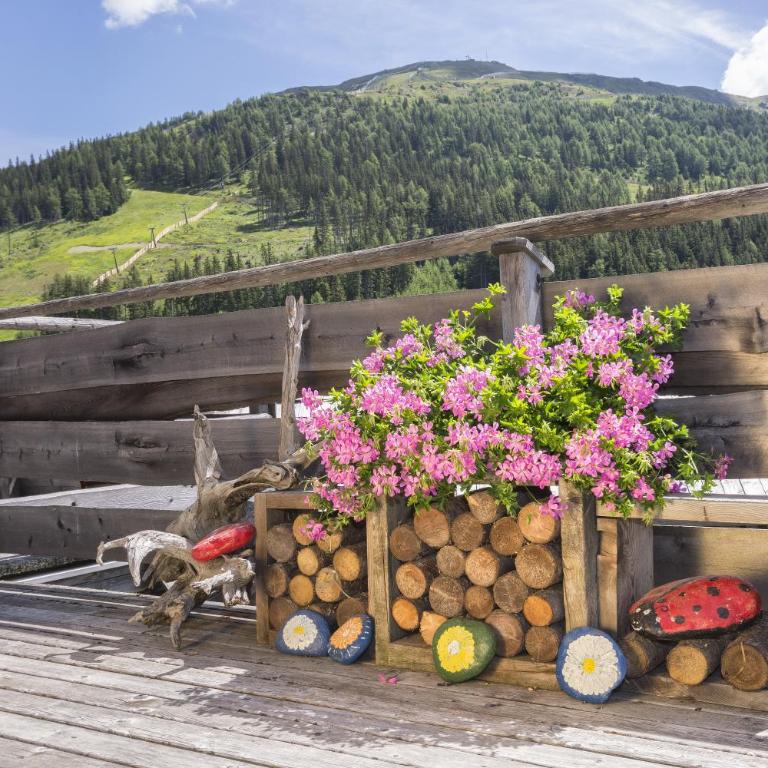 Hüttentraum Katschberg - Chalet mit 2 Schlafzimmern - 21