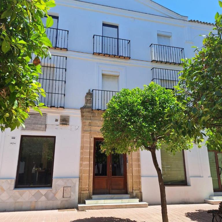 Cabildo Plaza 1 Sanlúcar de Barrameda - Apartamento de 1 dormitorio - 4