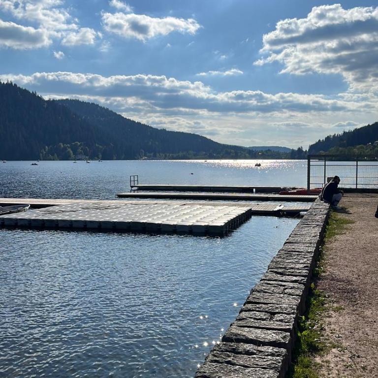 Chalet de luxe -8 pers- sauna - vues lac & montagne - Chalet - 24