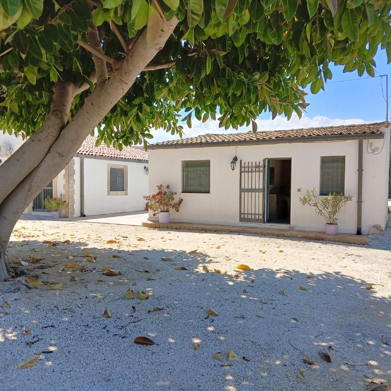 GELSOMINO SIRACUSA - Appartamento con 2 Camere da Letto - 1