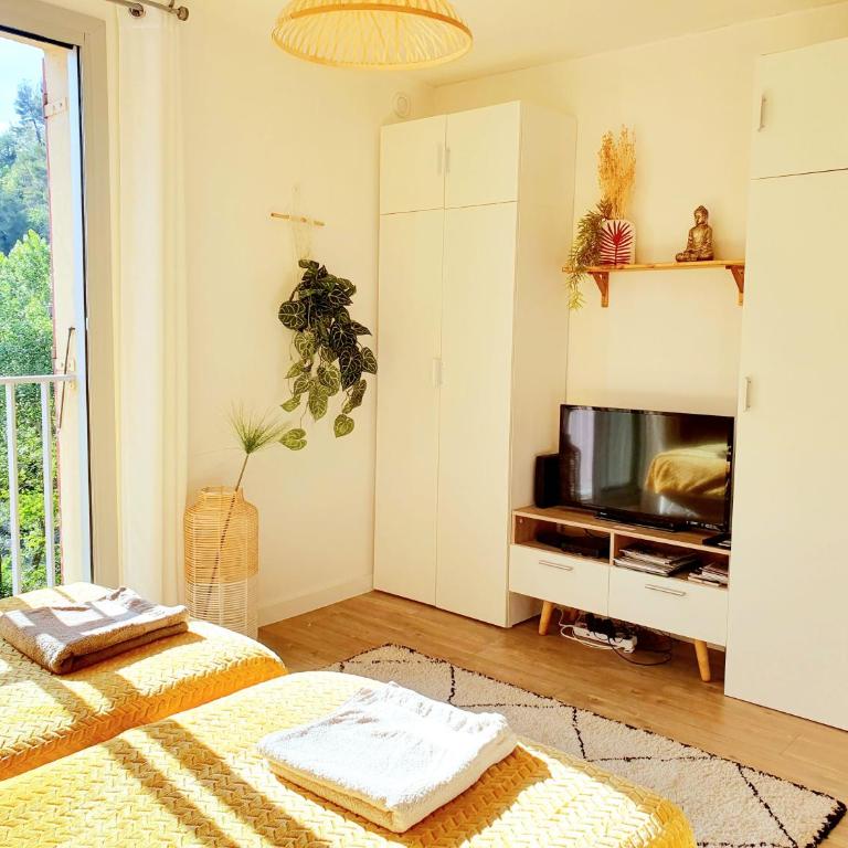 Charmant studio vue montagne - Appartement 1 Chambre - 2