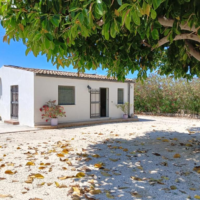 GELSOMINO SIRACUSA - Appartamento con 2 Camere da Letto - 2