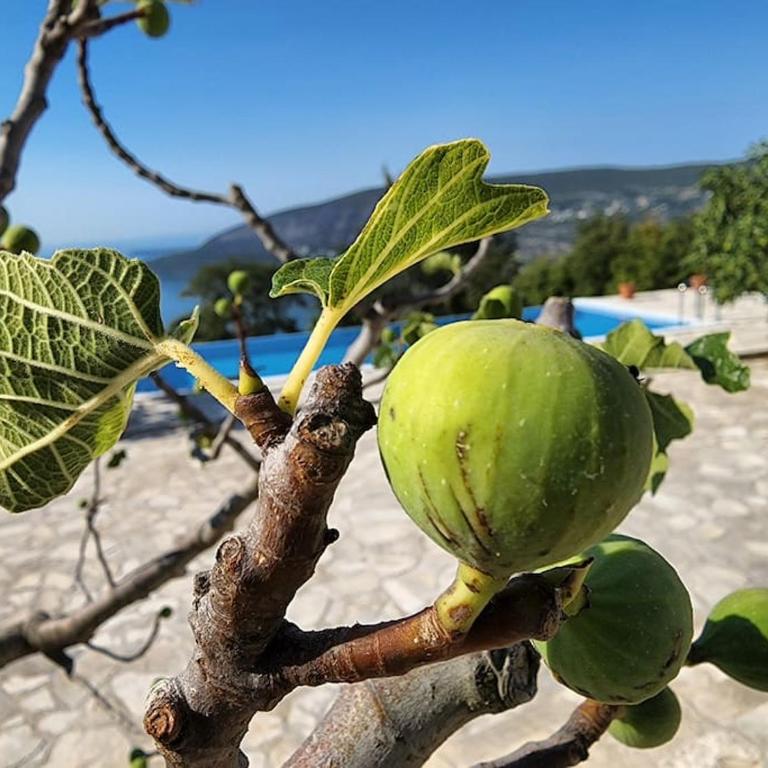 Boka Fig Village Rustic luxury with a view & pool - Villa - 47