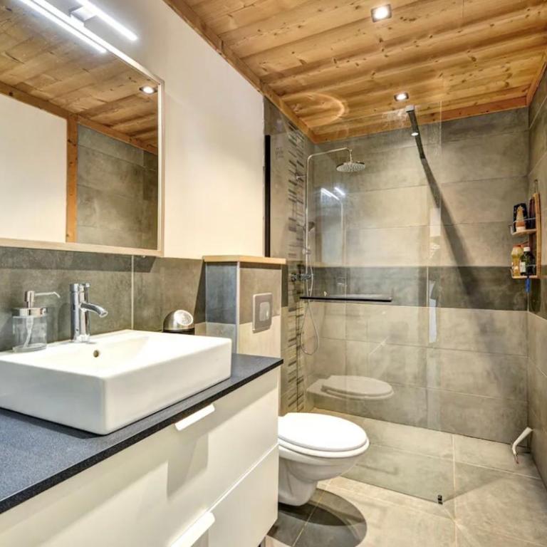 Cosy Mountain _ free park - Appartement 2 Chambres - 3