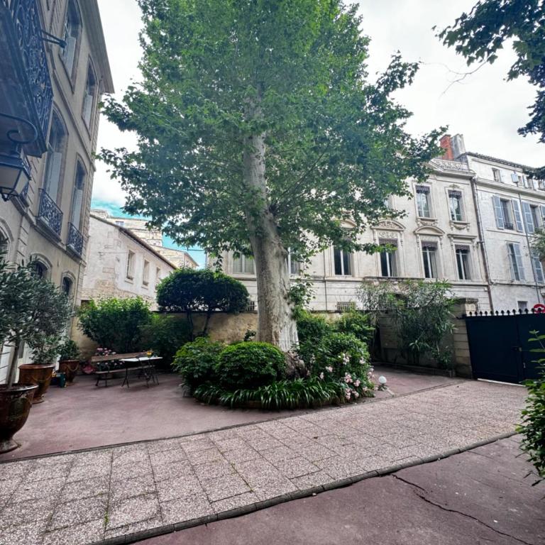 Le Cosy du Gal, à 2 Pas du Palais des Papes - Apartment mit 1 Schlafzimmer - 16
