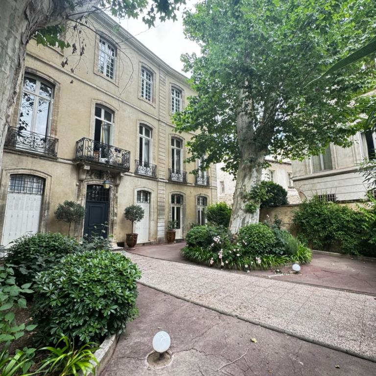 Le Cosy du Gal, à 2 Pas du Palais des Papes - Apartment mit 1 Schlafzimmer - 26