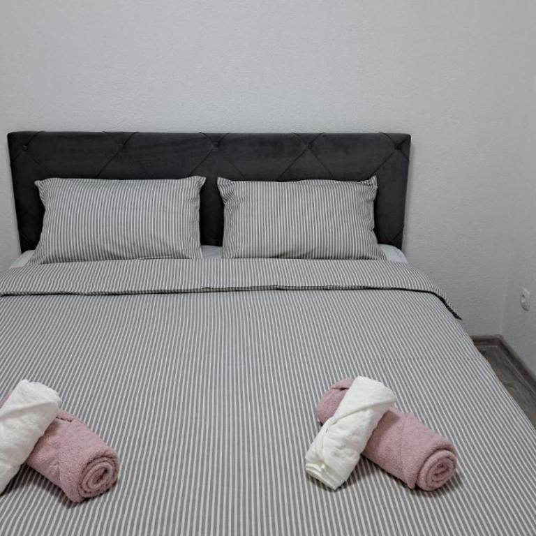 Vila Didan-apartmani - Apartman sa 2 Spavaće Sobe - 6