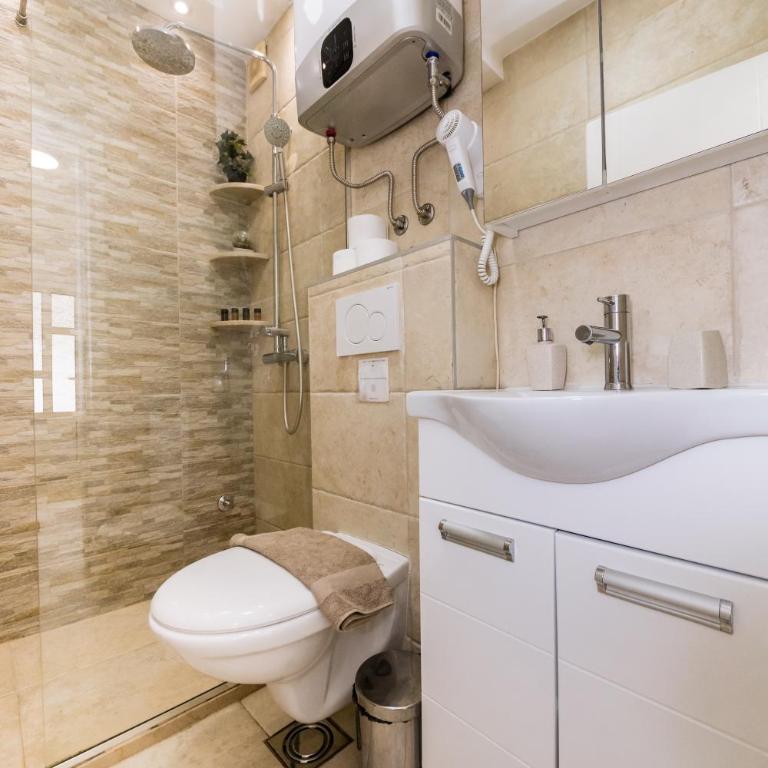 Paunovic Apartments - Apartman - 4