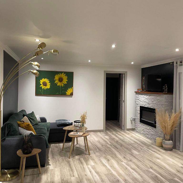 Maison avec cheminée et jardin près des commerces - Casa con 1 Camera da Letto - 3