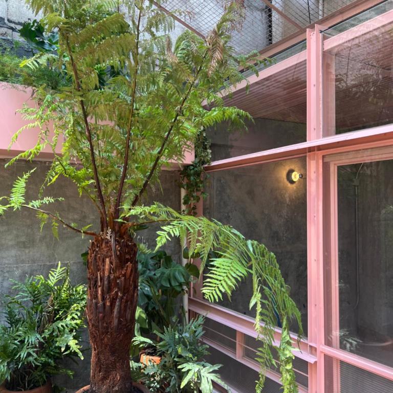 Xolo stays - Estudio con terraza - 2