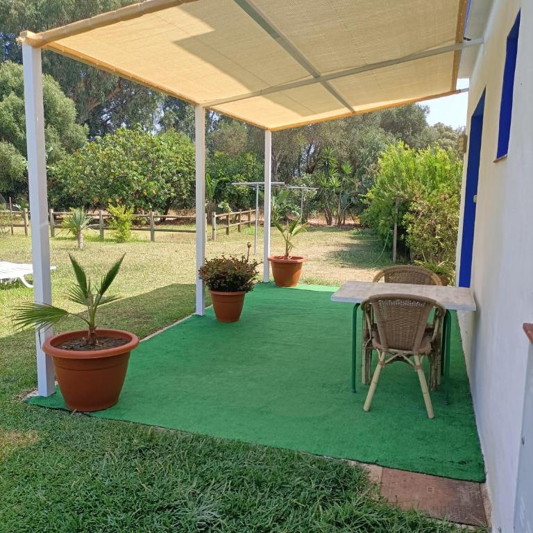 El Palomar Rooms Tarifa - Standard Twin Room with Garden View - 24
