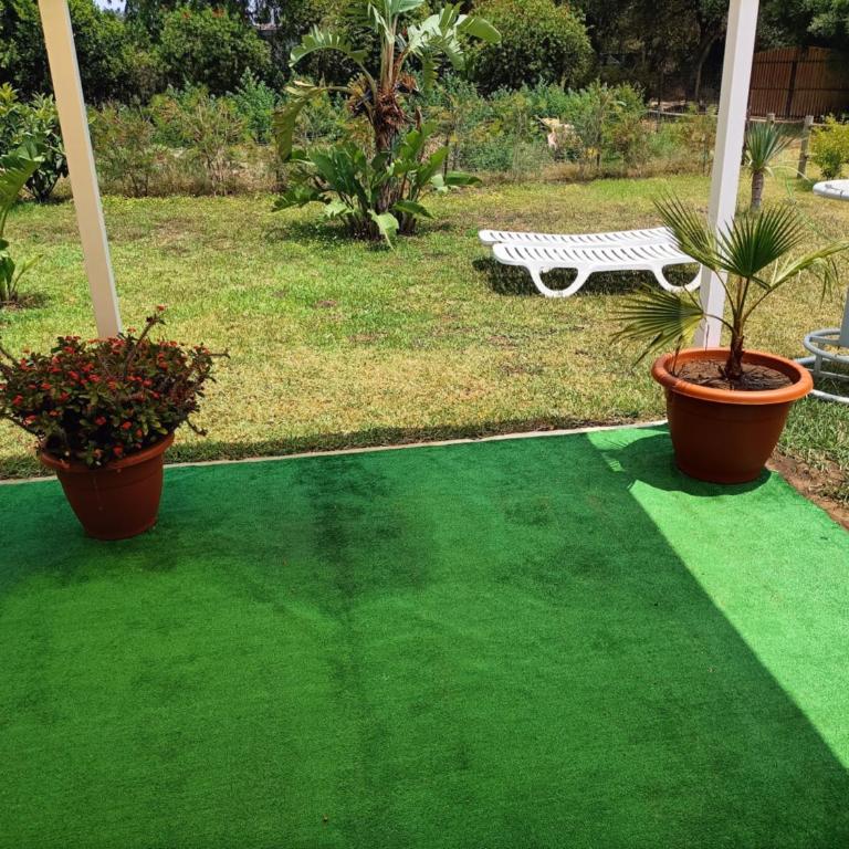 El Palomar Rooms Tarifa - Standard Twin Room with Garden View - 18