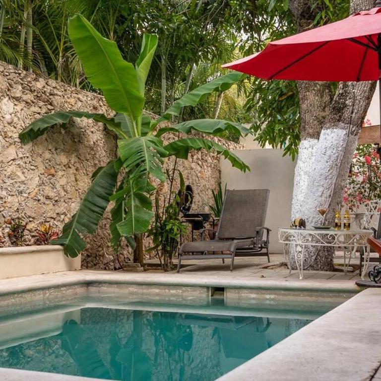 Casa Armadillo, colonial house with pool - Two-Bedroom House - 29