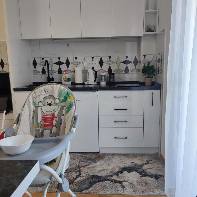 Apartman PINA Vrnjacka Banja - Apartman sa 1 Spavaćom Sobom - 16
