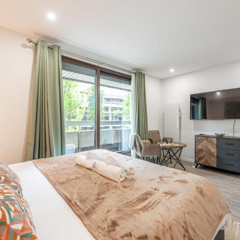 Le Bonlieu 3 - Joli studio avec balcon en plein coeur de la ville - Appartement - 8