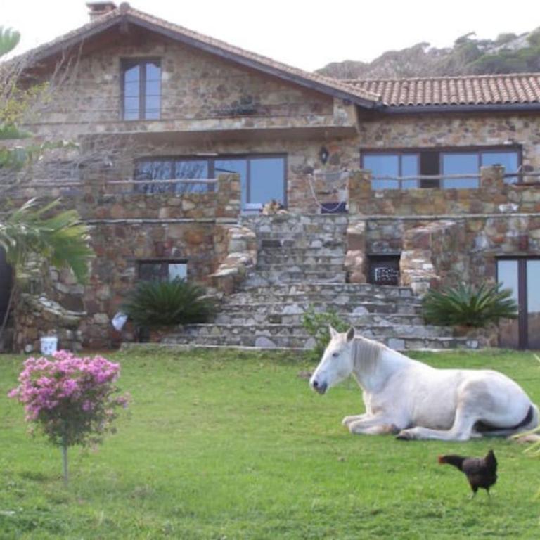 Tarifa Apartement Horses and Nature - Apartamento de 2 dormitorios - 66