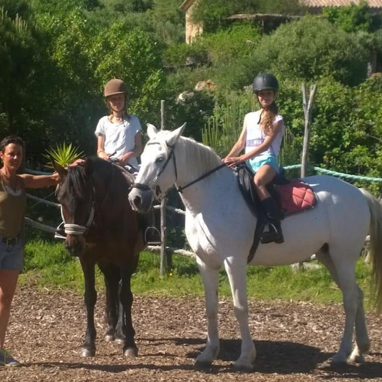 Tarifa Apartement Horses and Nature - Apartamento de 2 dormitorios - 44