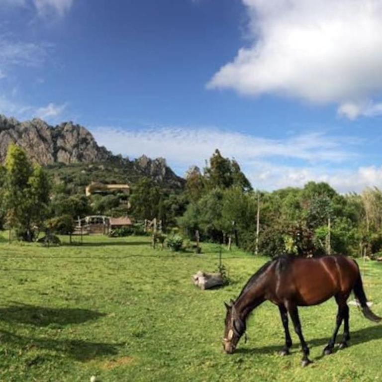 Tarifa Apartement Horses and Nature - Apartamento de 2 dormitorios - 59