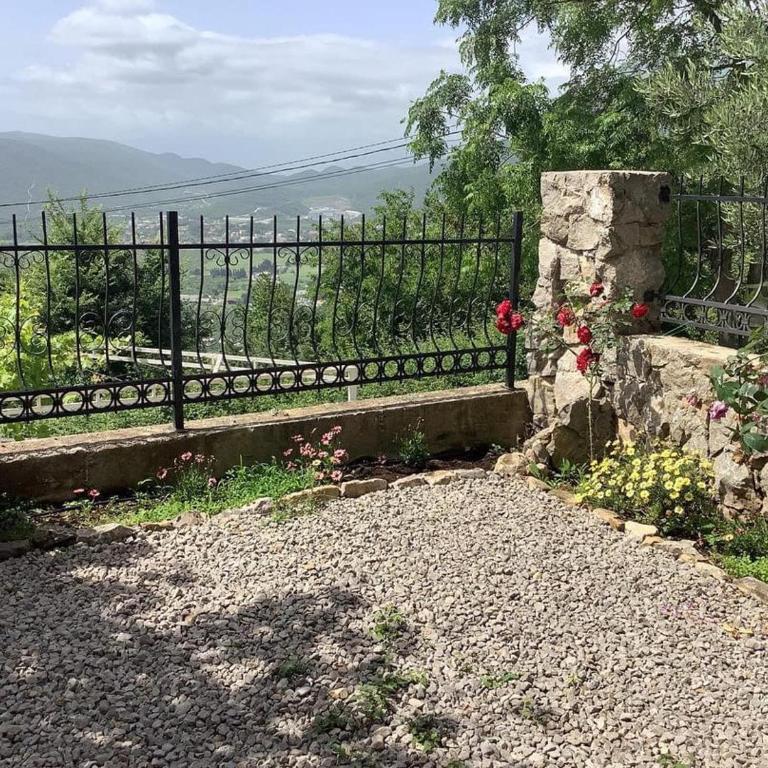 Green Hill House - Kuća sa 3 Spavaće Sobe - 15