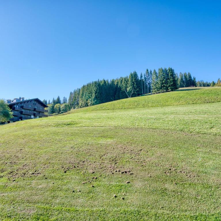 Marmots - Apartment - 16