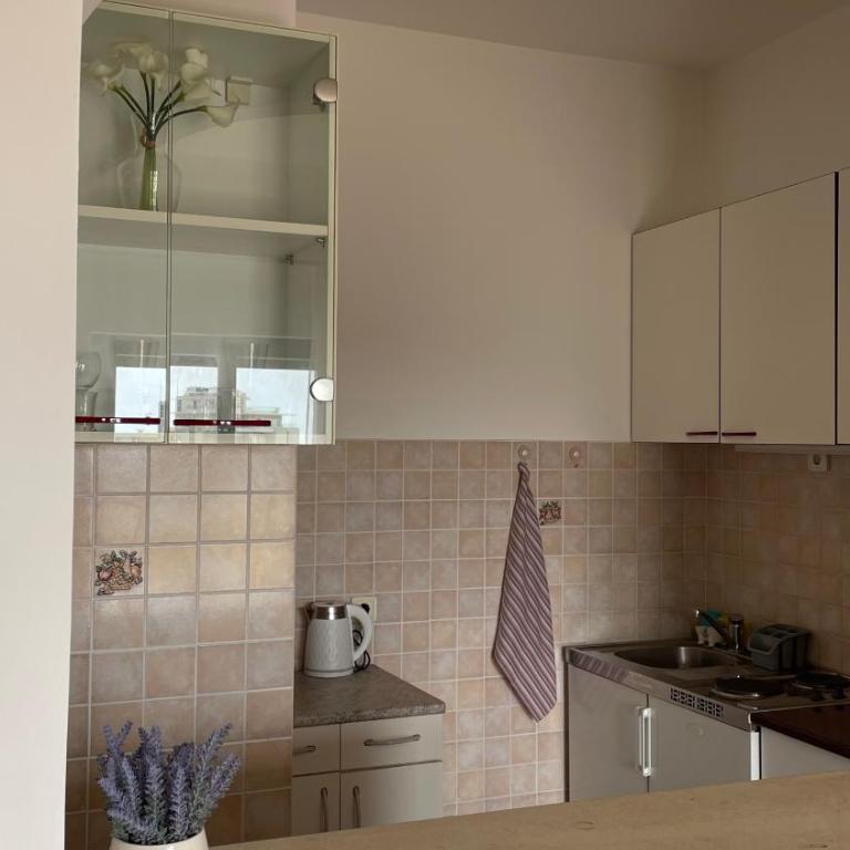 Apartment Tatjana - Studio Apartment - 3